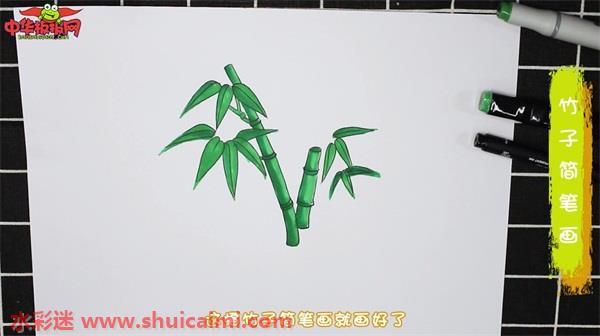 竹子怎么画 竹子简笔画步骤