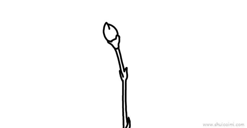 康乃馨儿童画怎么画 康乃馨简笔画画法