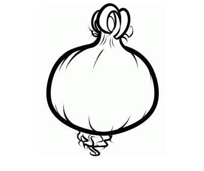 洋葱简笔画图片大全 洋葱简笔画图片大全可爱