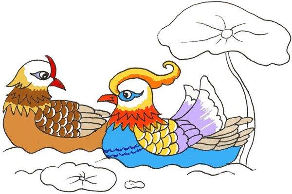 鸳鸯的简笔画怎么画 鸳鸯的简笔画简单又好看