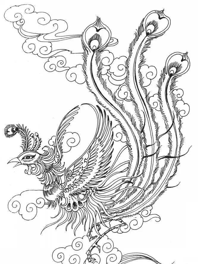 凤凰简笔画 凤凰简笔画霸气