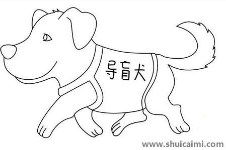 导盲犬儿童简笔画