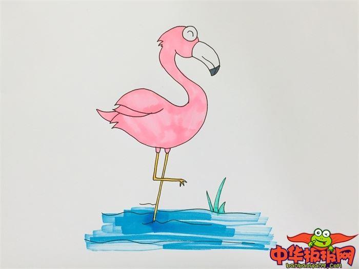 火烈鸟怎么画 火烈鸟简笔画画法