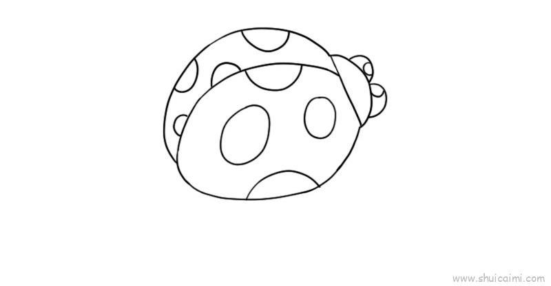 七星瓢虫儿童画怎么画 七星瓢虫简笔画图片大全