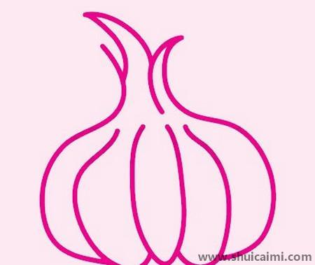 大蒜儿童简笔画