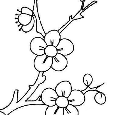梅花图片简笔画手绘 梅花图片简笔画手绘儿童画