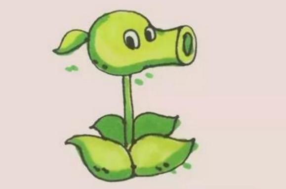 豌豆简笔画 豌豆简笔画怎么画