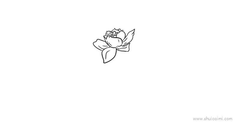 栀子花儿童画怎么画 栀子花简笔画好看