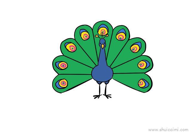 孔雀开屏儿童画怎么画 孔雀开屏简笔画步骤