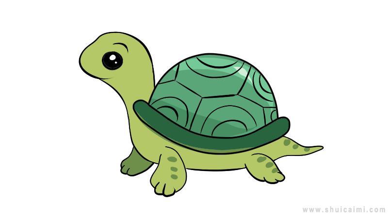乌龟简笔画怎么画 乌龟简笔画图片大全