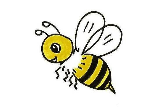 简笔画蜜蜂 简笔画蜜蜂采蜜