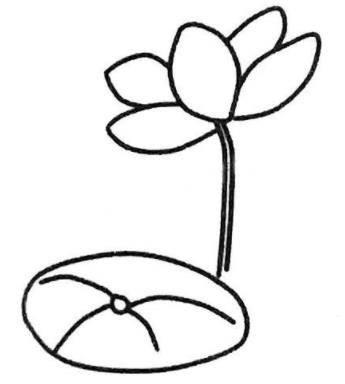 荷花简笔画 荷花简笔画怎么画