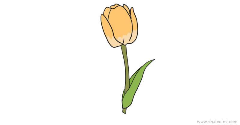 郁金香儿童画怎么画 郁金香简笔画顺序