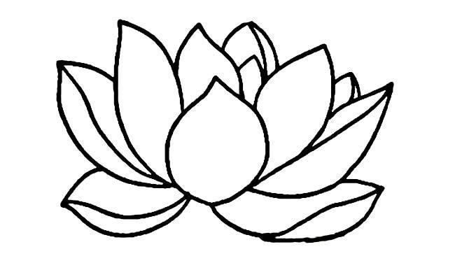 荷花的简笔画 荷花的简笔画简单漂亮