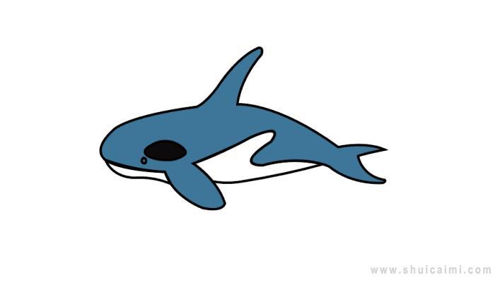 虎鲸简笔画怎么画 虎鲸简笔画画法