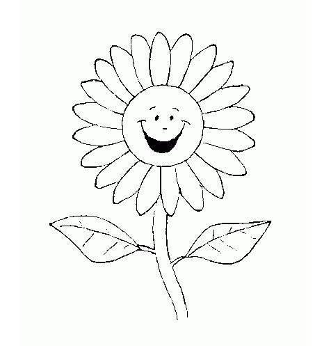 画花简笔画 如何画花简笔画