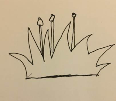 简笔画小草 简笔画小草图片大全