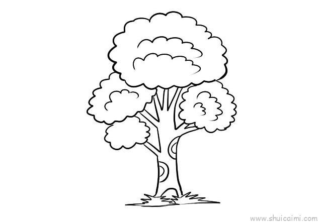 树儿童画怎么画 树简笔画图片大全