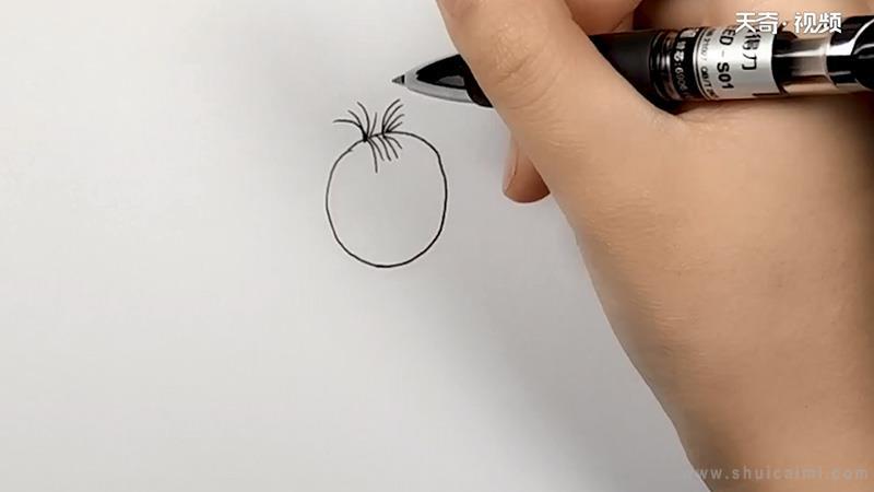 图图简笔画怎么画 图图简笔画顺序