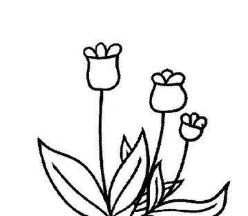 画花简笔画 如何画花简笔画