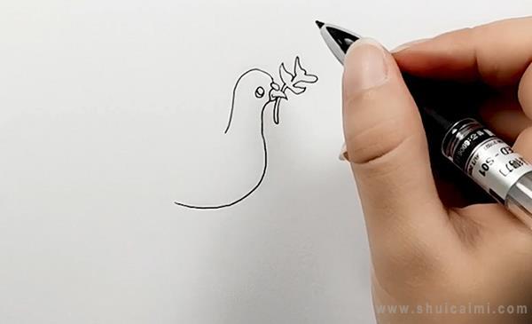 和平鸽简笔画怎么画 和平鸽简笔画简单