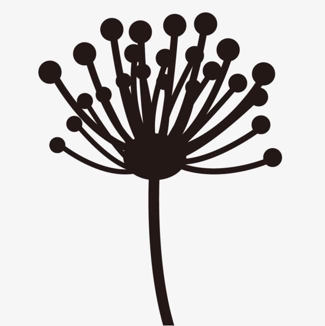 蒲公英简笔画 蒲公英简笔画彩色