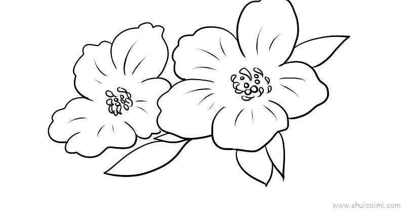 桃花儿童画怎么画 桃花简笔画简单又好看