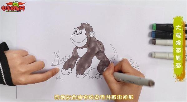 大猩猩怎么画 大猩猩简笔画漂亮卡通