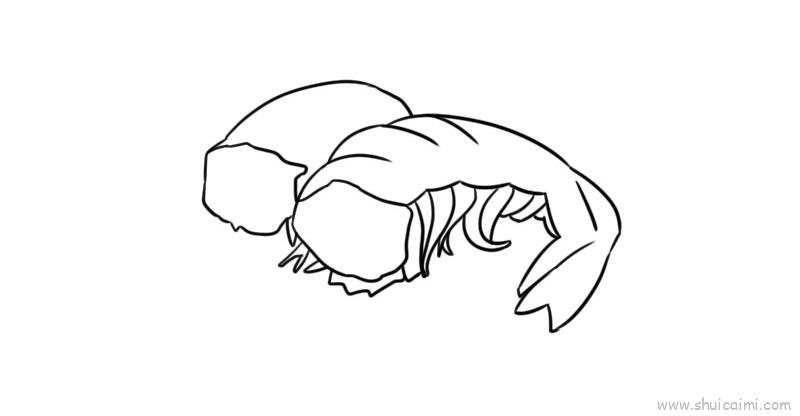 小虾儿童画怎么画 小虾简笔画步骤