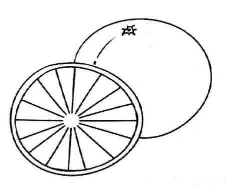 橘子简笔画 橘子简笔画图片