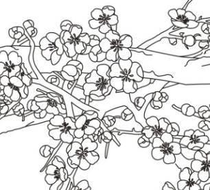 梅花图片简笔画手绘 梅花图片简笔画手绘儿童画