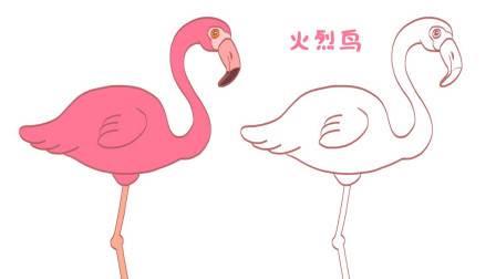火烈鸟简笔画 火烈鸟简笔画图片