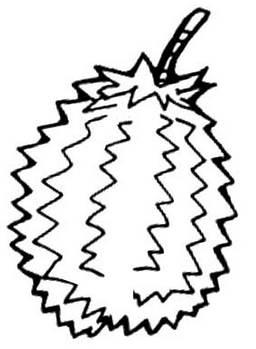 榴莲简笔画 榴莲简笔画图片