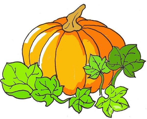 南瓜的简笔画怎么画 南瓜的简笔画顺序