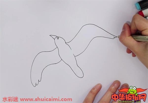 海鸥怎么画 海鸥简笔画步骤