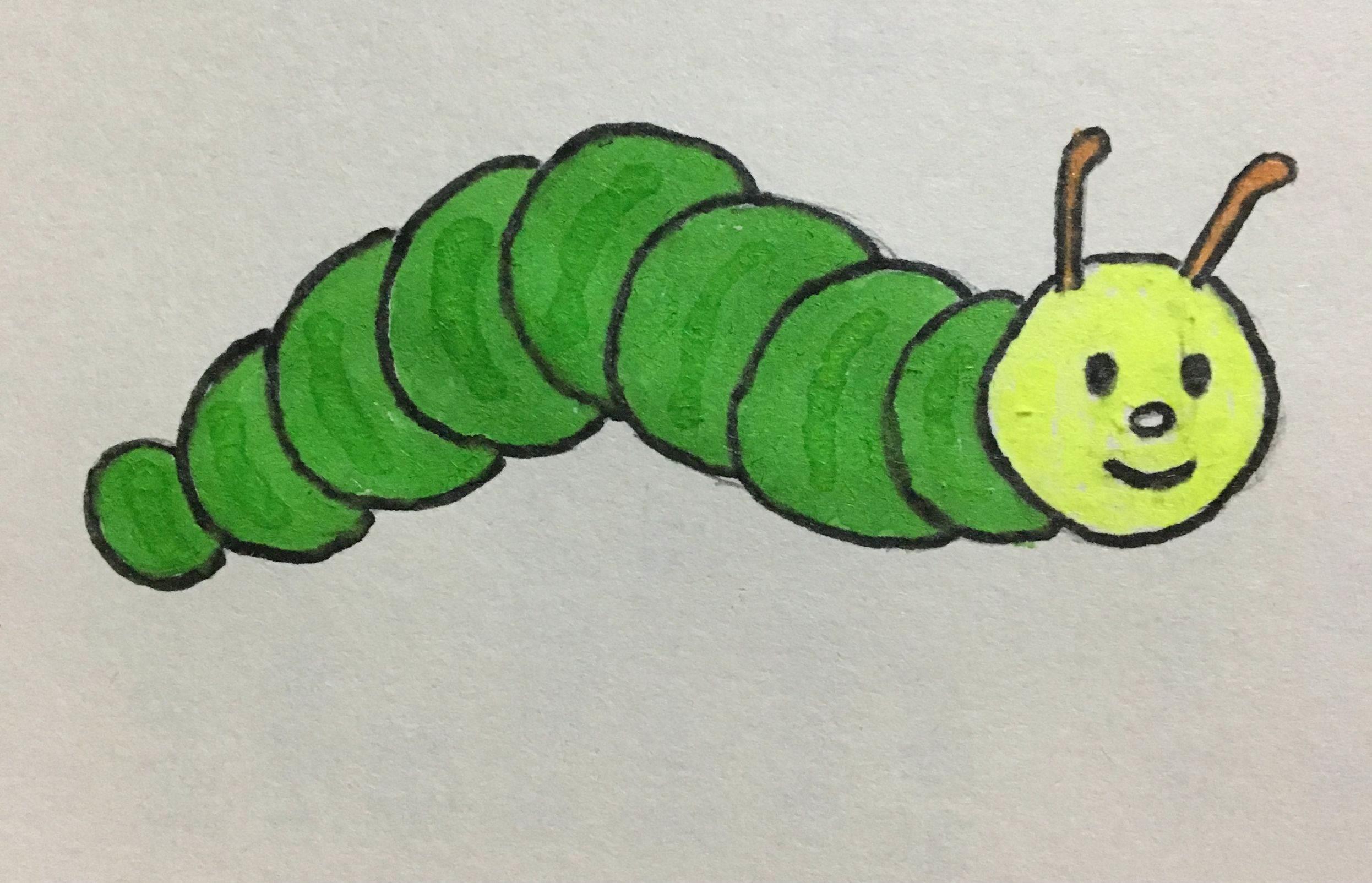 毛毛虫简笔画 毛毛虫简笔画带颜色