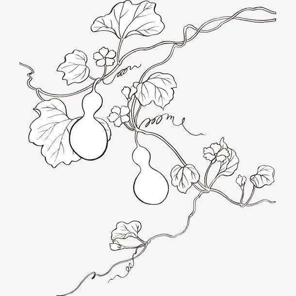 葫芦简笔画图片大全 卖糖葫芦简笔画图片大全