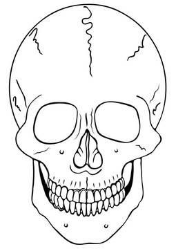 骷髅头简笔画 骷髅头简笔画吓人