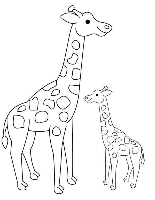 简笔画长颈鹿 简笔画长颈鹿彩色