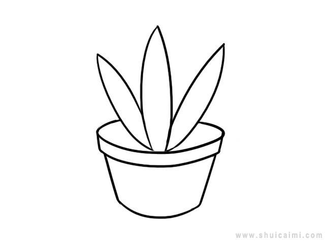 盆栽简笔画怎么画 盆栽简笔画好看