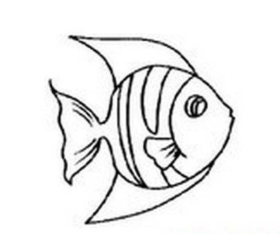 小鱼的简笔画 小鱼的简笔画可爱