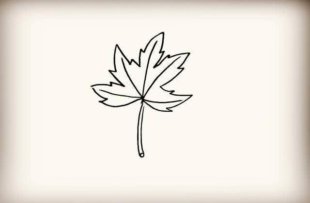 枫叶简笔画 枫叶简笔画图片大全