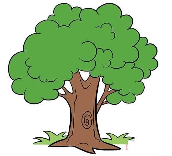 树简笔画 树简笔画彩色