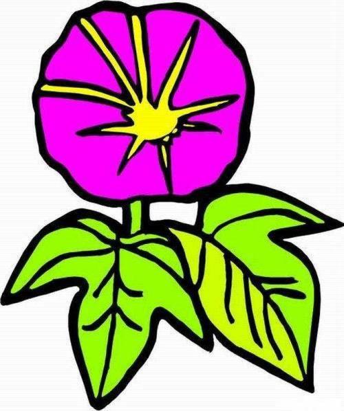 花朵的简笔画 花朵的简笔画图片大全