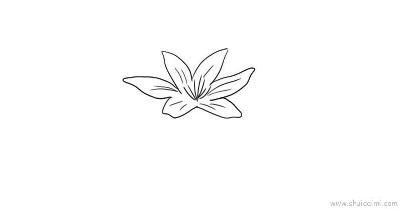 百合花儿童画怎么画 百合花简笔画简单又好看