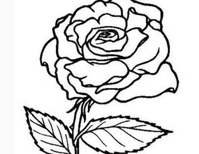 蔷薇简笔画图片大全 蔷薇简笔画图片大全可爱