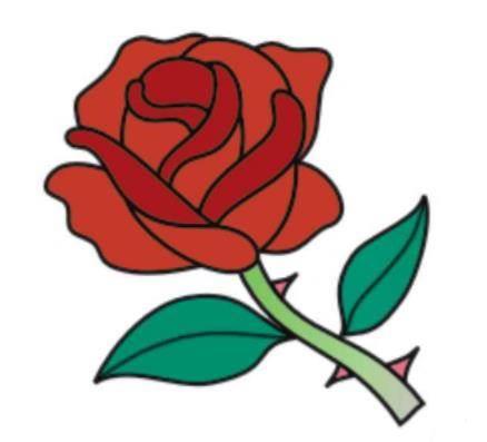 玫瑰花怎么画简笔画又漂亮 玫瑰花怎么画简笔画又漂亮 一步一步