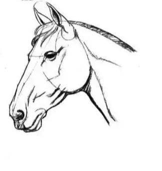 马的简笔画 马的简笔画儿童
