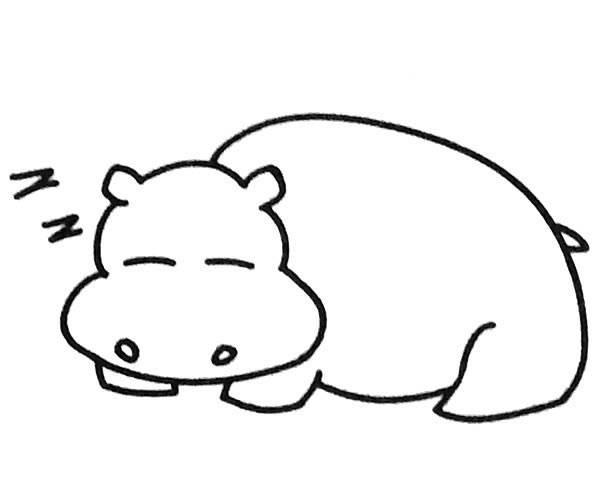 河马简笔画 河马简笔画彩色