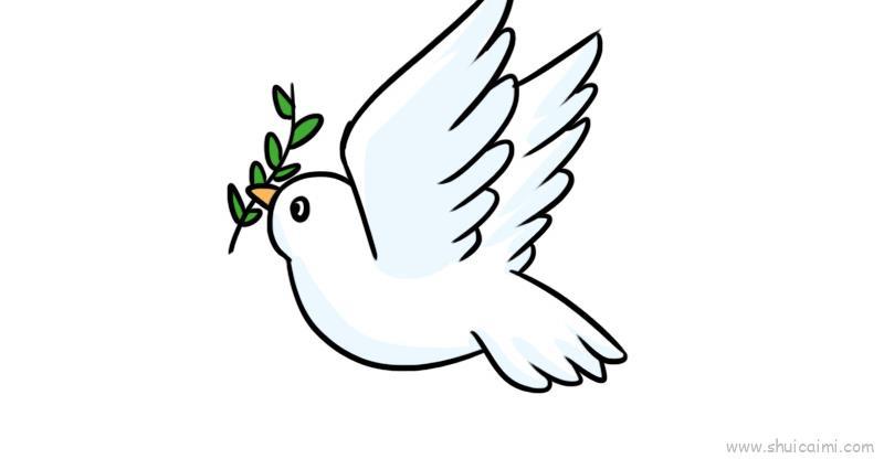 白鸽儿童画怎么画 白鸽简笔画简单又好看